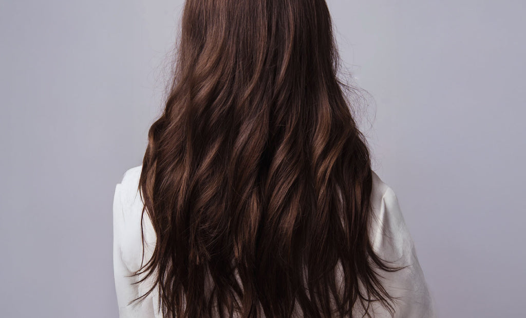 Nordsilk, voor haar dat zegt: “Ik Ben Terug!”